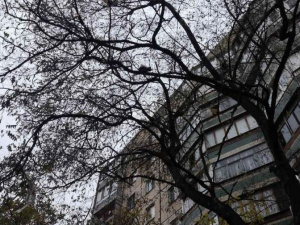 Фото пресс-службы ГСЧС Кривого Рога