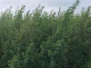 Фото пресс-службы полиции Днепропетровской области