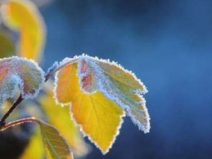 Фото із мережі Інтернет