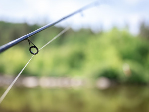 Зображення від pvproductions на Freepik