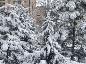 Дайджест новин тижня, що минає