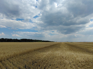 Фото редакції krivbass.city 