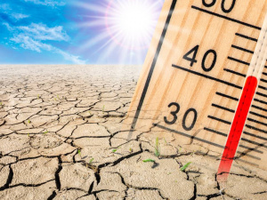 Фото з відкритих джерел 