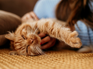 Зображення від Freepik