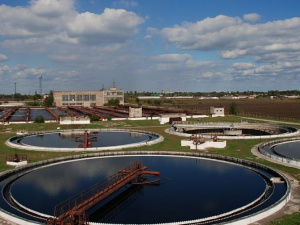 Фото из сети Интернет