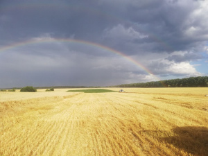 Сонце, спека і майже без дощів: прогноз погоди на 1-2 серпня - фото з відкритих джерел