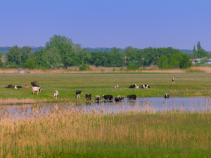 Фото із мережі Інтернет