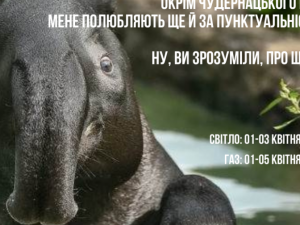 Зображення редакції krivbass.city