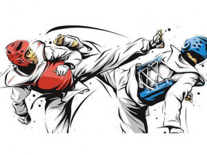 Криворізькі спортсмени показали відмінний результат на змаганнях з тхеквондо ВТФ: подробиці