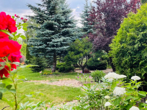 Як створити сенсорний простір, що дарує спокій і надихає - фото з відкритих джерел