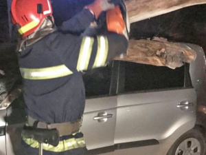 Фото пресслужби ДСНС Кривого Рогу