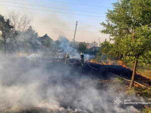 Дніпропетровщина палає: за добу в регіоні вогонь знищив понад 40 гектарів екосистем