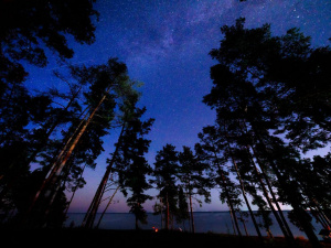 Фото Павло Флореску