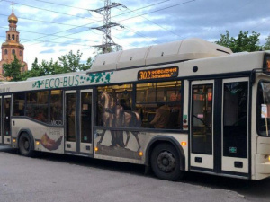 Фото из сети Интернет