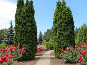 Фото із мережі Інтернет