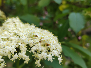 Фото редакції krivbass.city