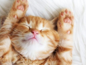 Топ-6 порад, які допоможуть знизити рівень тривоги