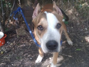 Фото: Оксана Ходько (Facebook)