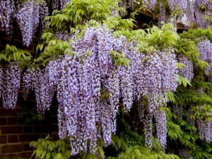 30 червня – все про цей день: прикмети та традиції