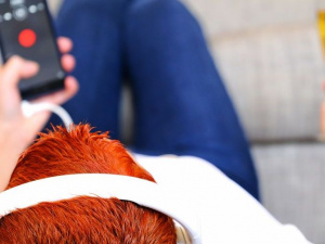 Фото: Depositphotos