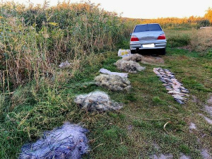 Фото Дніпропетровського рибоохоронного патруля 