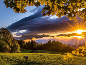 Фото з відкритих джерел   