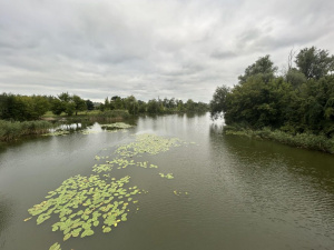 Погода в уїк-енд - фото ілюстративне з відкритих джерел