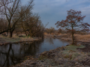 Фото ілюстративне з відкритих джерел  