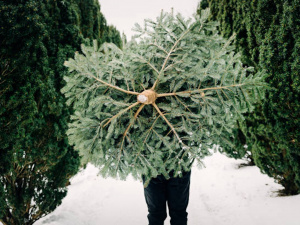 Українцям нагадали про серйозні штрафи за «новорічне» порушення закону