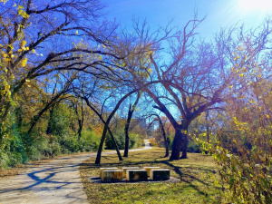 Фото ілюстративне з відкритих джерел 