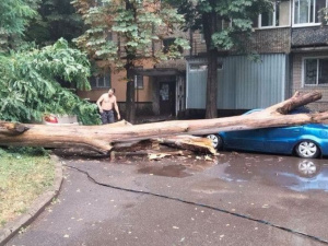 Фото очевидців події