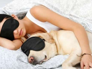 Фото з відкритих джерел