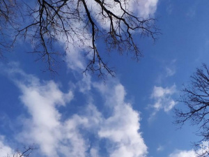 Фото ікони ілюстративне з відкритих джерел       