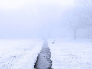 Фото із мережі Інтернет