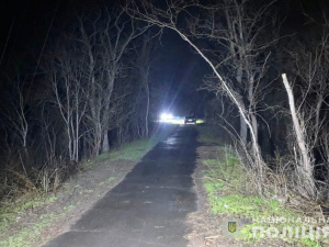 Гуляла з собакою і ледве не загинула: у Кривому Розі нападник побив і намагався зґвалтувати жінку