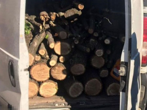 Фото пресс-службы Криворожского отдела полиции