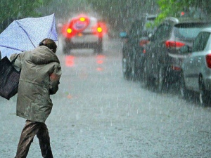 Фото із мережі Інтернет