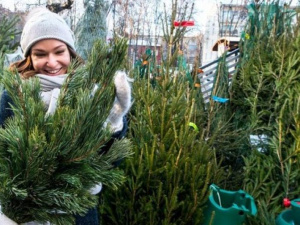 Фото из сети Интернет