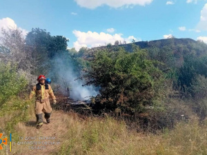 У Кривому Розі вогнеборці ліквідували займання сухостою