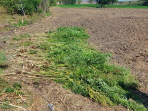 Фото ГУ Нацполіції у Дніпропетровській області