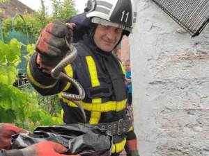 Фото пресс-службы ГСЧС Кривого Рога