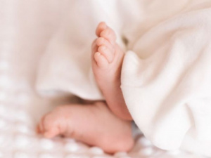 Фото из сети Интернет