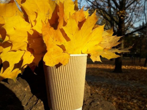 Дайджест головних новин тижня, що минає