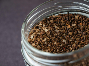 Природний захисник саду: чорний перець від шкідників і гнилі - фото з відкритих джерел