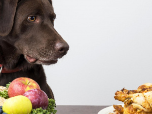 Фото з відкритих джерел