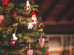 Як криворіжцям правильно встановити ялинку (КОРИСНО)