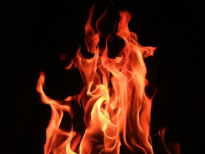 Фото из сети Интернет