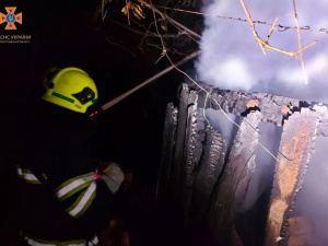 Намагався приборкати вогонь: чоловік отримав опіки рук під час пожежі у власному будинку