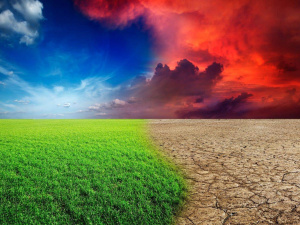 До 2040 клімат України зазнає змін - фото ілюстративне з відкритих джерел 