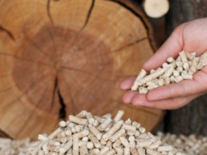 Фото пресслужби Дніпропетровської ОВА